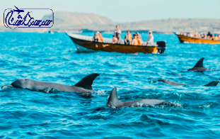 تور قشم با قطار