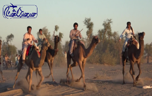 تورجشنواره مصر