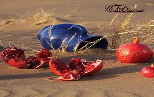 تور ویژه شب یلدا