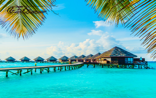 تور لحظه آخری کیش